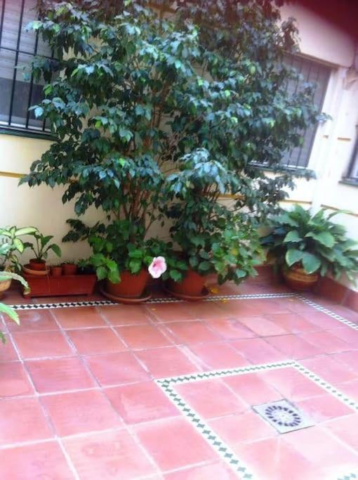Apartamento Paola 圣玛丽亚港 外观 照片
